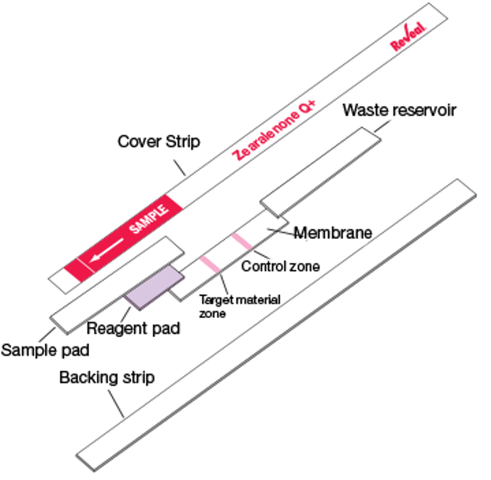 reveal_q-plus_diagram_pt.png